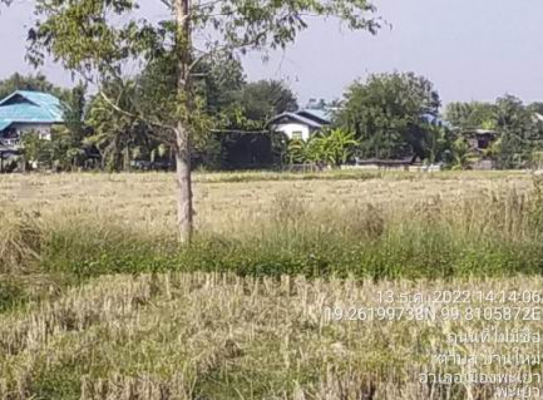ที่ดินเปล่า พะเยา เมืองพะเยา บ้านใหม่ 0