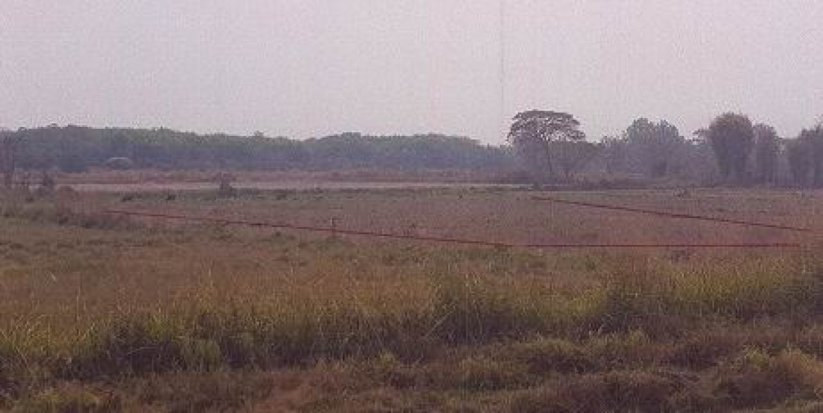 Residential land/lot Phayao Mae Chai Ban Lao 0