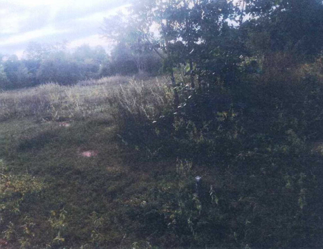 Residential land/lot Nakhon Ratchasima Pak Thong Chai Takhu 30000