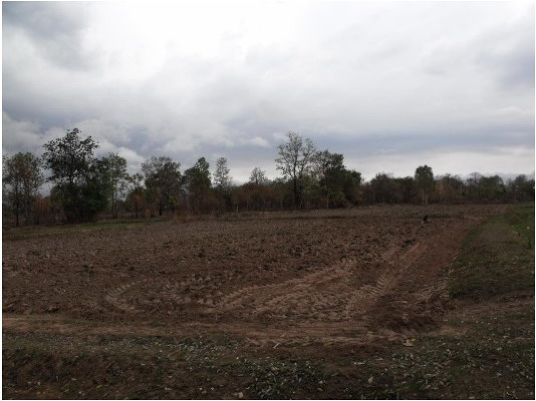 ที่ดินเปล่า กาฬสินธุ์ ยางตลาด หนองอิเฒ่า 990000
