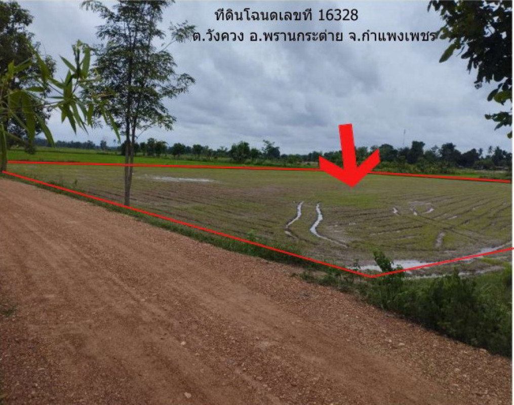 ที่ดินเปล่า กำแพงเพชร พรานกระต่าย วังควง 462240