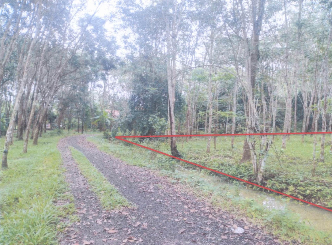 Residential land/lot Phatthalung Mueang Phatthalung Na Not 303300