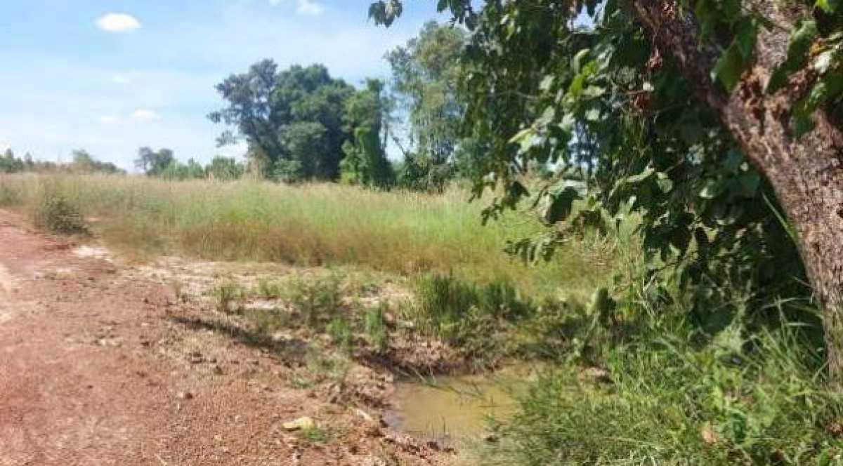 ที่ดินเปล่า อุดรธานี บ้านดุง ศรีสุทโธ 200000