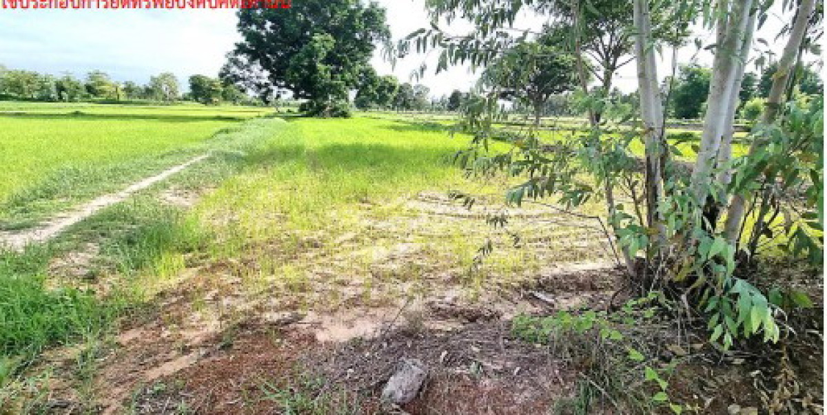 ที่ดินเปล่า กาฬสินธุ์ นามน นามน 1083500