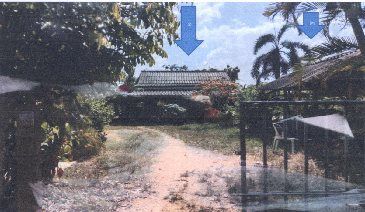 บ้านเดี่ยว พัทลุง ปากพะยูน ฝาละมี 539030