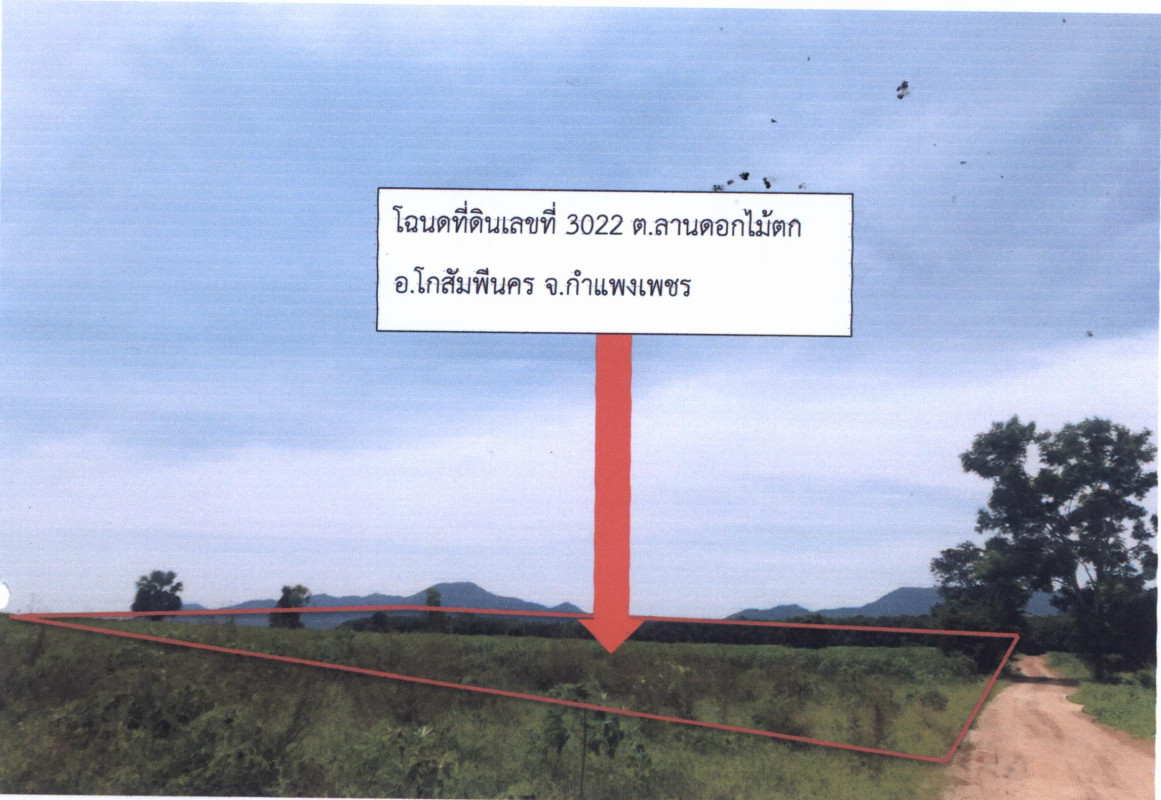 ที่ดินเปล่า กำแพงเพชร โกสัมพีนคร ลานดอกไม้ตก 1010958