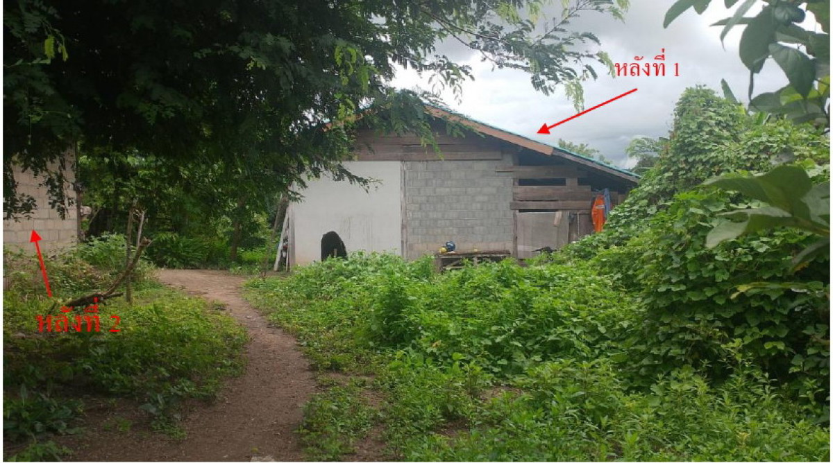 บ้านเดี่ยว แม่ฮ่องสอน ปาย ทุ่งยาว 668355