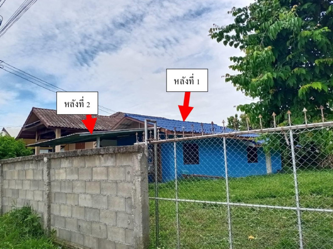 บ้านเดี่ยว พะเยา แม่ใจ บ้านเหล่า 589792