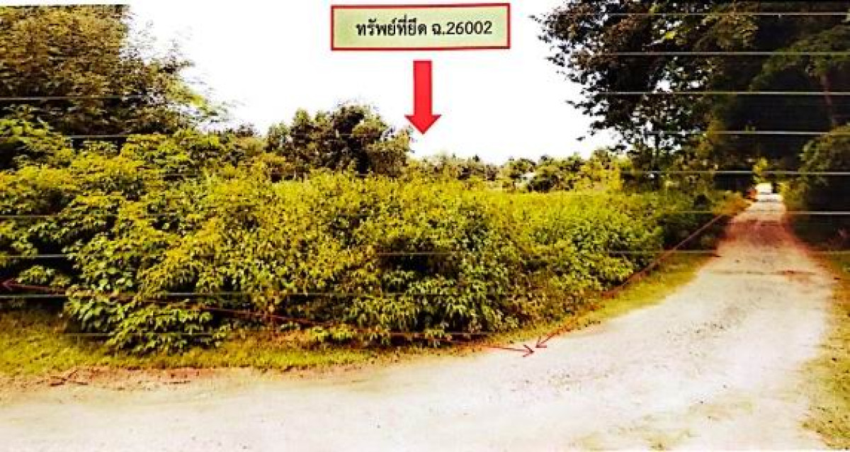 ที่ดินเปล่า บุรีรัมย์ ลำปลายมาศ หนองกระทิง 219960