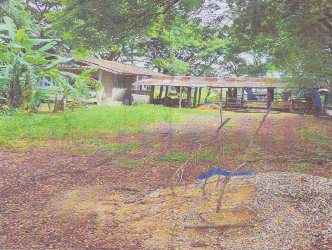 บ้านเดี่ยว พะเยา ดอกคำใต้ สว่างอารมณ์ 493290
