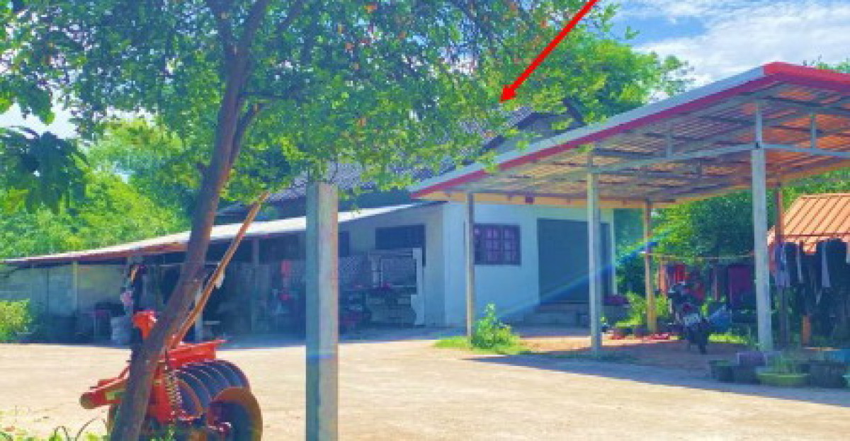 บ้านเดี่ยว กาฬสินธุ์ เมืองกาฬสินธุ์ ลำพาน 523600
