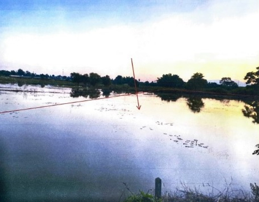 ที่ดินเปล่า สุโขทัย เมืองสุโขทัย บ้านสวน 240000