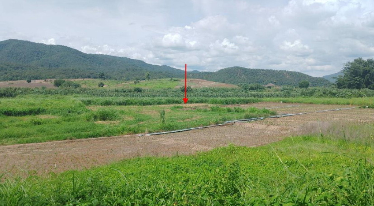 ที่ดินเปล่า แม่ฮ่องสอน ปาย เมืองแปง 22500