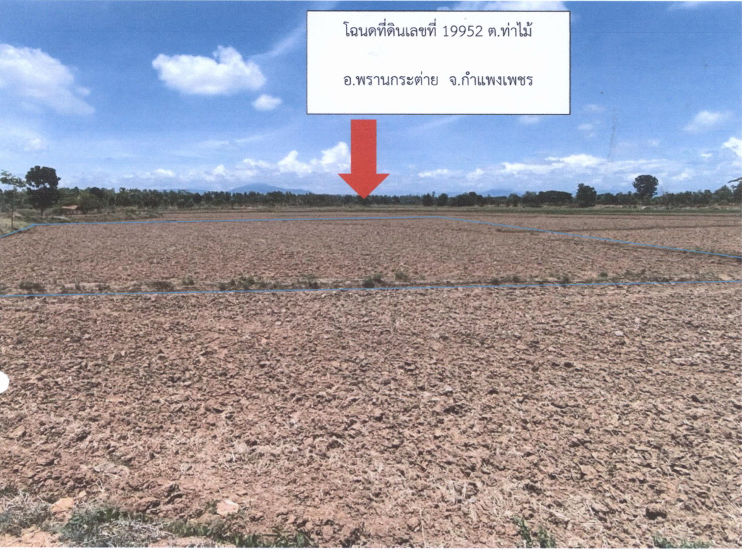 ที่ดินเปล่า กำแพงเพชร พรานกระต่าย ท่าไม้ 341205