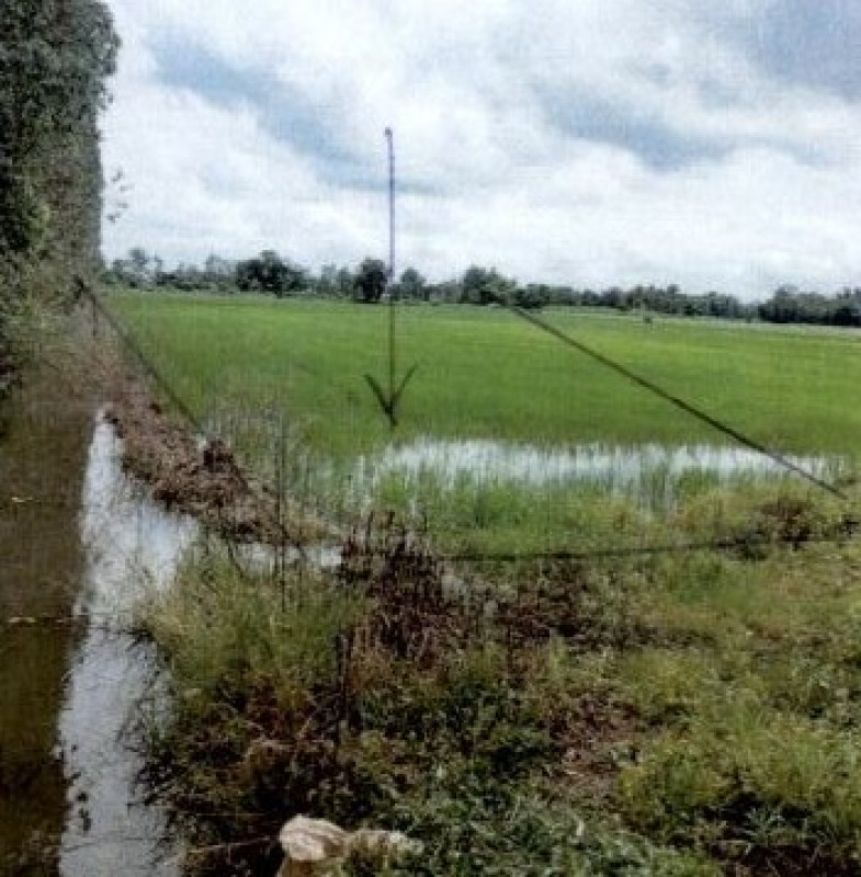 ที่ดินเปล่า กำแพงเพชร ลานกระบือ หนองหลวง 1561300