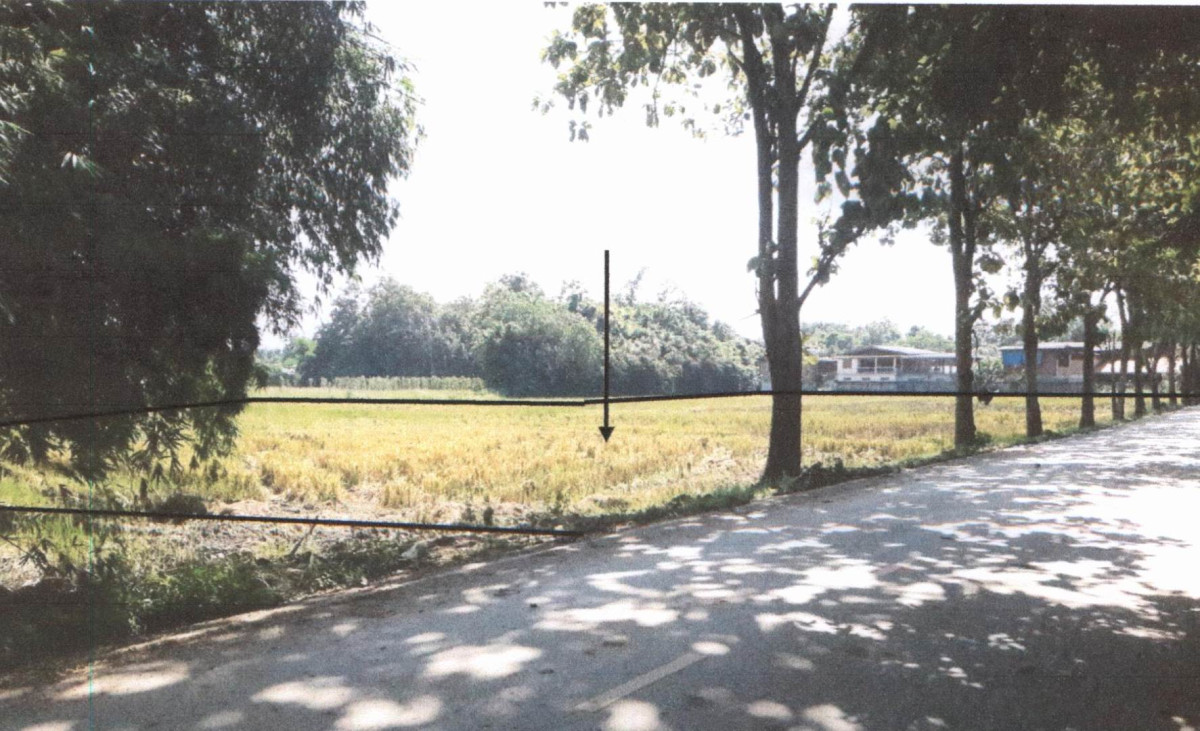 ที่ดินเปล่า แพร่ หนองม่วงไข่ ตำหนักธรรม 746460