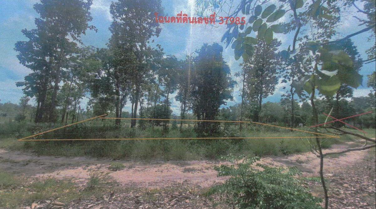ที่ดินเปล่า ชัยภูมิ บ้านเขว้า ภูแลนคา 168300