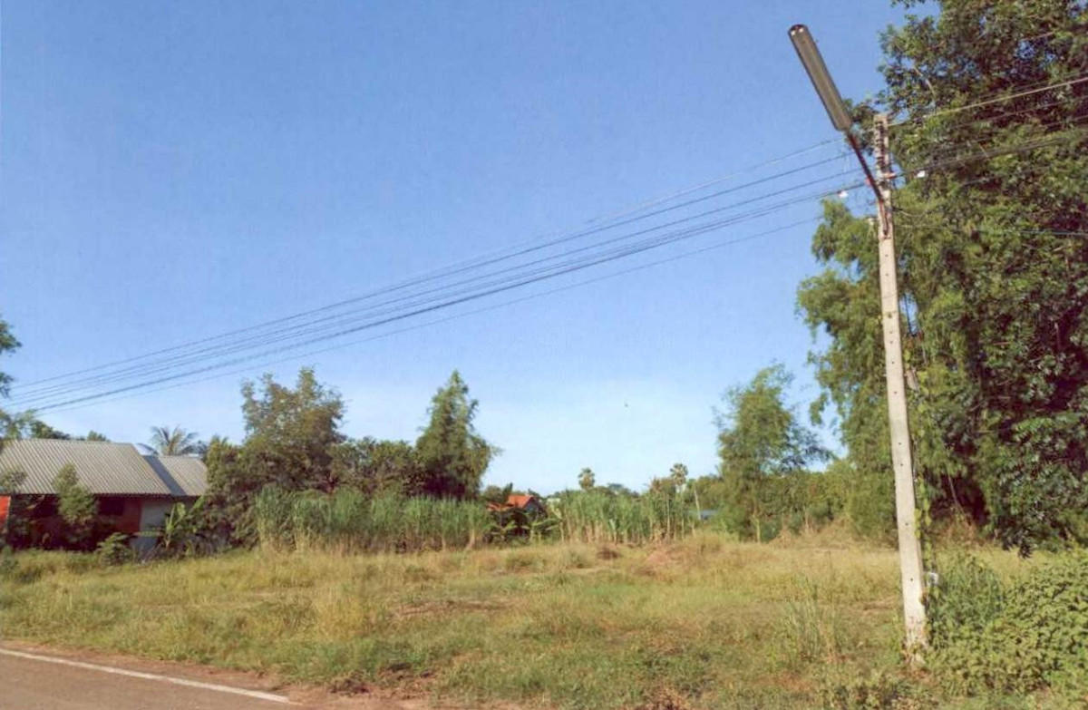 ที่ดินเปล่า บุรีรัมย์ หนองกี่ บุกระสัง 166250