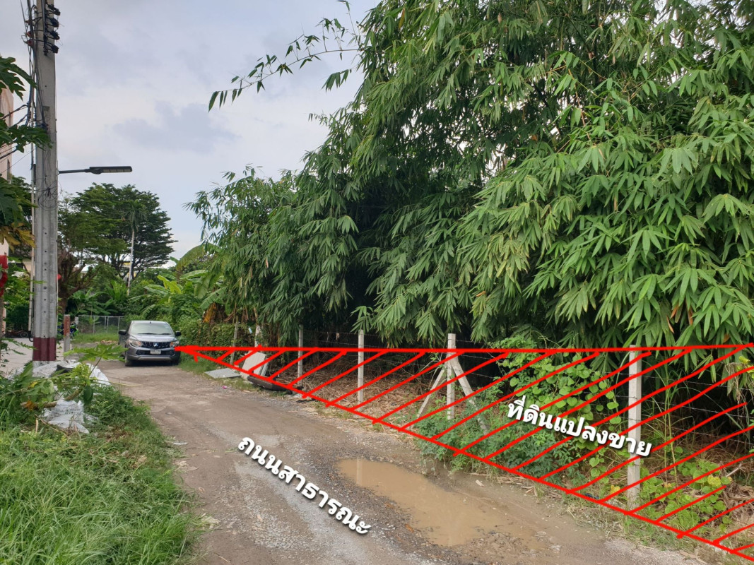 ที่ดินเปล่า นนทบุรี เมืองนนทบุรี บางกระสอ 9900000