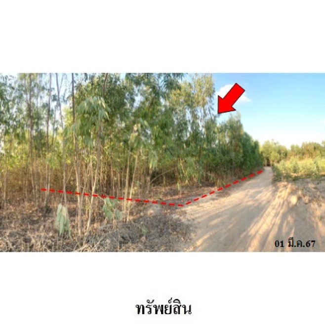 ที่ดินเปล่า บุรีรัมย์ สตึก ท่าม่วง 806000