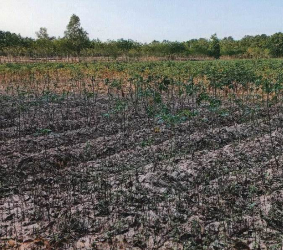 ที่ดินเปล่า อุดรธานี หนองหาน หนองเม็ก 225200