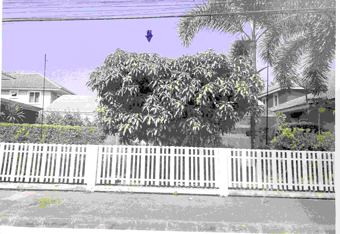บ้านเดี่ยว เชียงใหม่ สันทราย หนองหาร 3207720