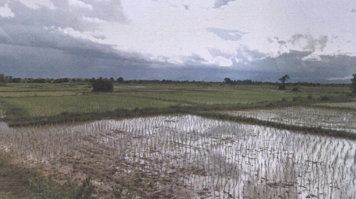 ที่ดินเปล่า แพร่ เมืองแพร่ ร่องฟอง 47250