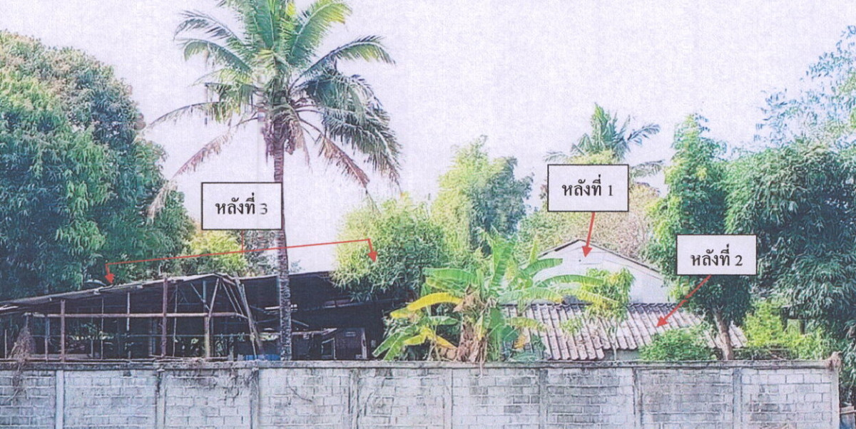บ้านเดี่ยว เชียงราย เวียงป่าเป้า แม่เจดีย์ใหม่ 722480