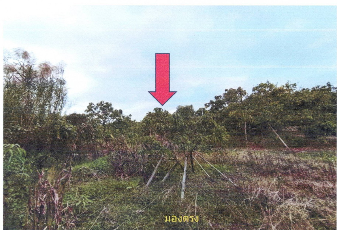 Residential land/lot Chiang Mai San Pa Tong ทุ่งต้อม 355000