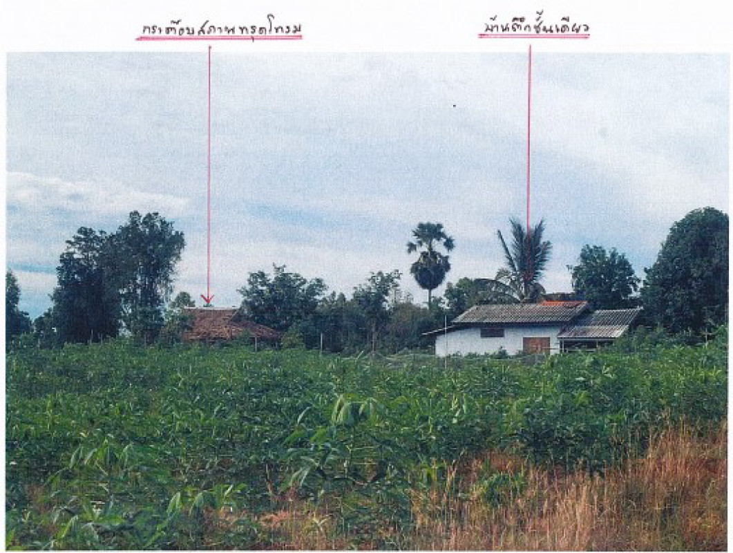 บ้านเดี่ยว กำแพงเพชร คลองขลุง วังไทร 891528