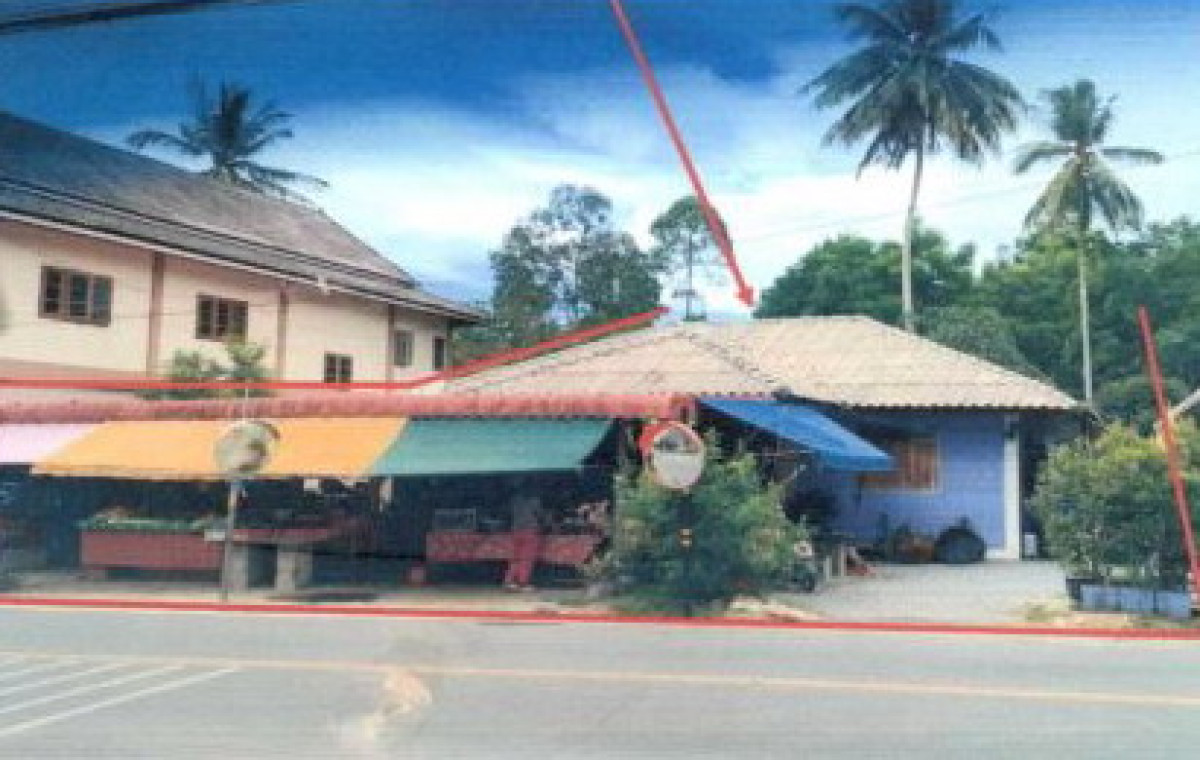 บ้านเดี่ยว นครศรีธรรมราช ลานสกา กำโลน 863376