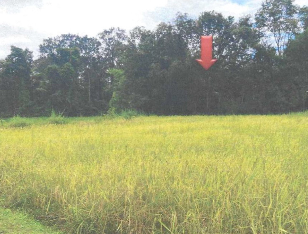 Residential land/lot Ubon Ratchathani Si Mueang Mai Tabai 265044