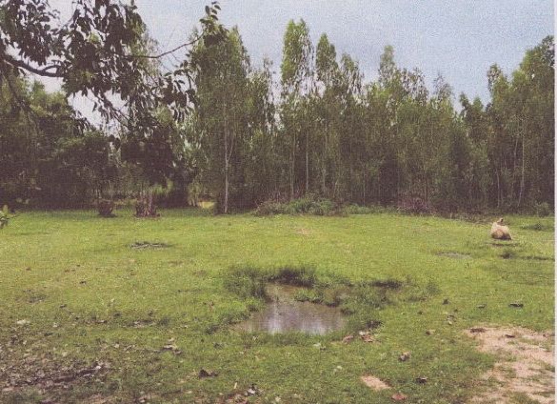 ที่ดินเปล่า มุกดาหาร คำชะอี หนองเอี่ยน 216050