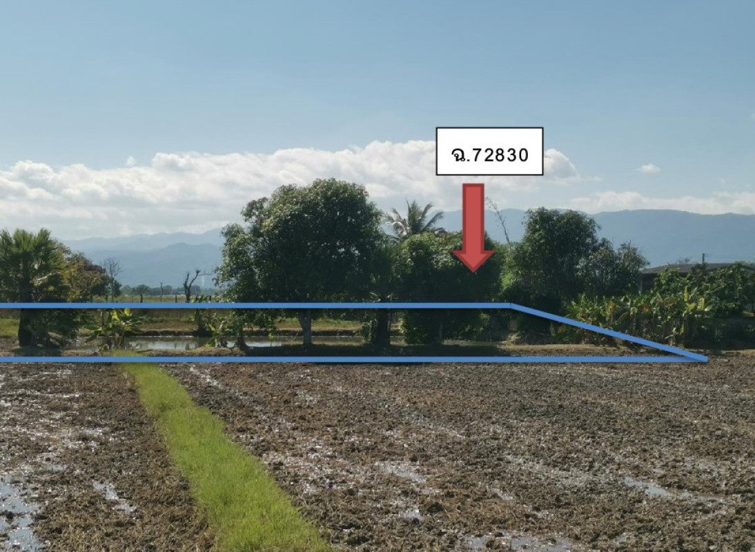ที่ดินเปล่า เชียงราย พาน ทานตะวัน 152500