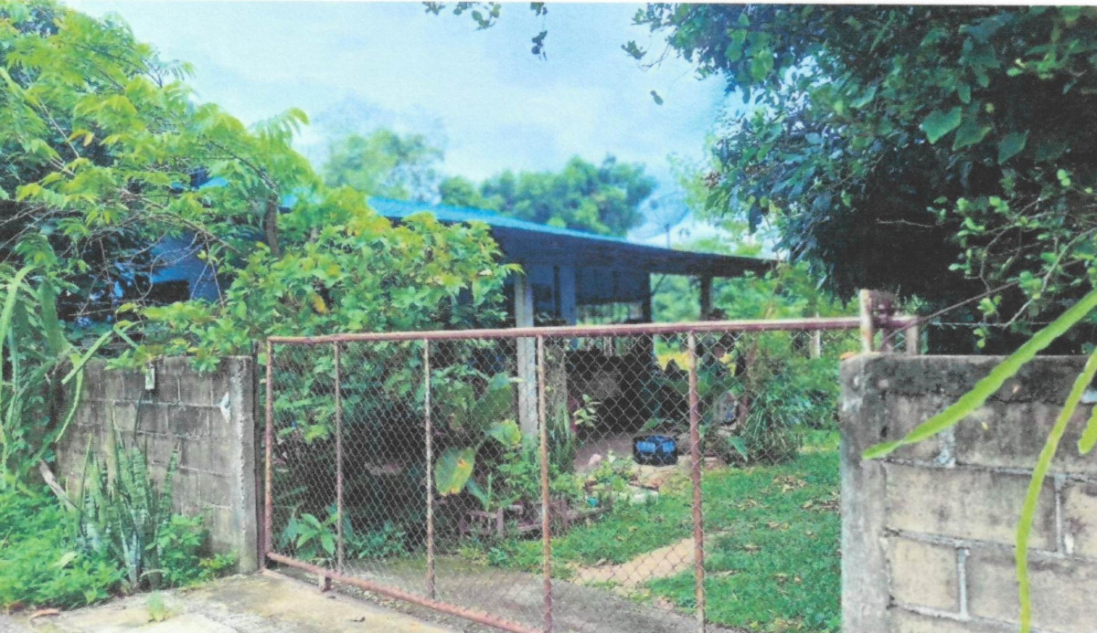 บ้านเดี่ยว เชียงราย เชียงของ บุญเรือง 384125