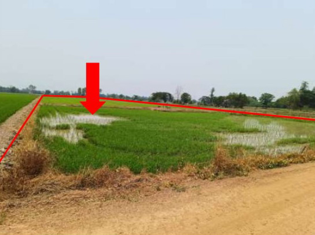 ที่ดินเปล่า พิษณุโลก พรหมพิราม วังวน 376000