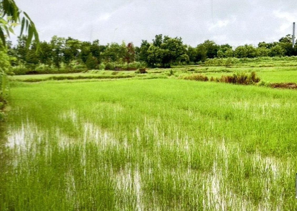 Residential land/lot Khon Kaen Phu Wiang Nong Kung Thanasan 498039