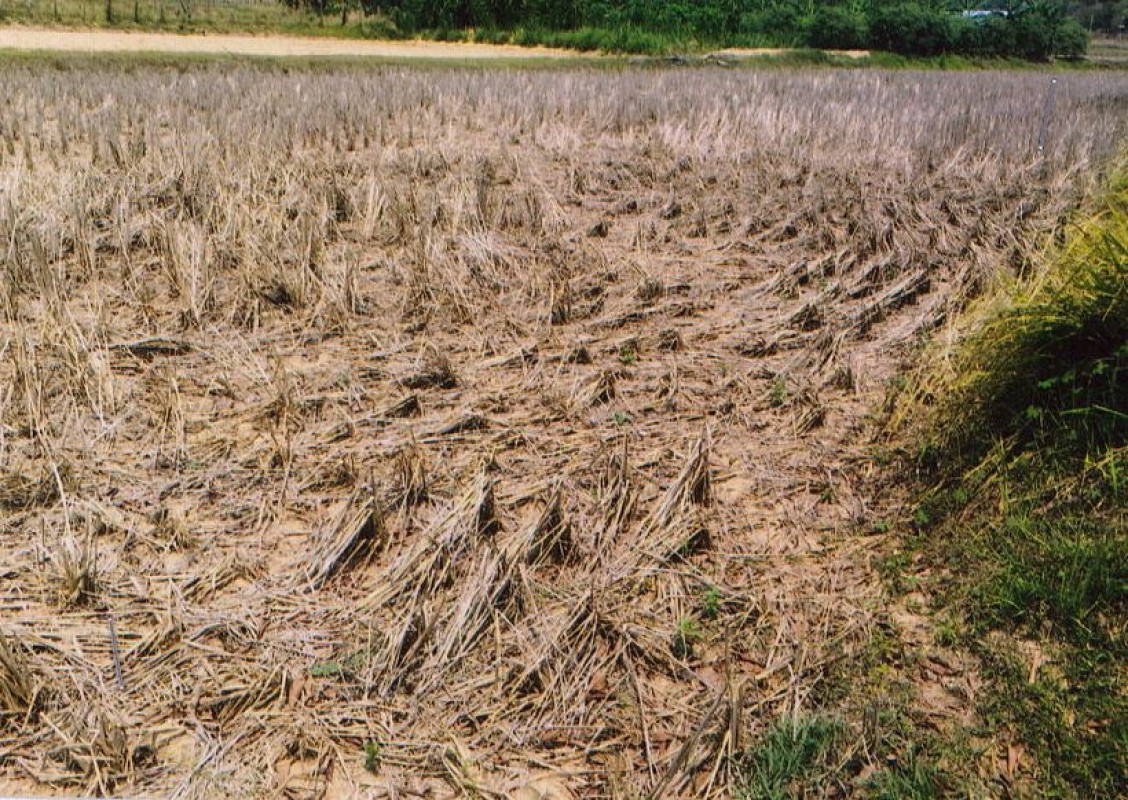 Residential land/lot Mukdahan Khamcha-i Kham Bok 140850