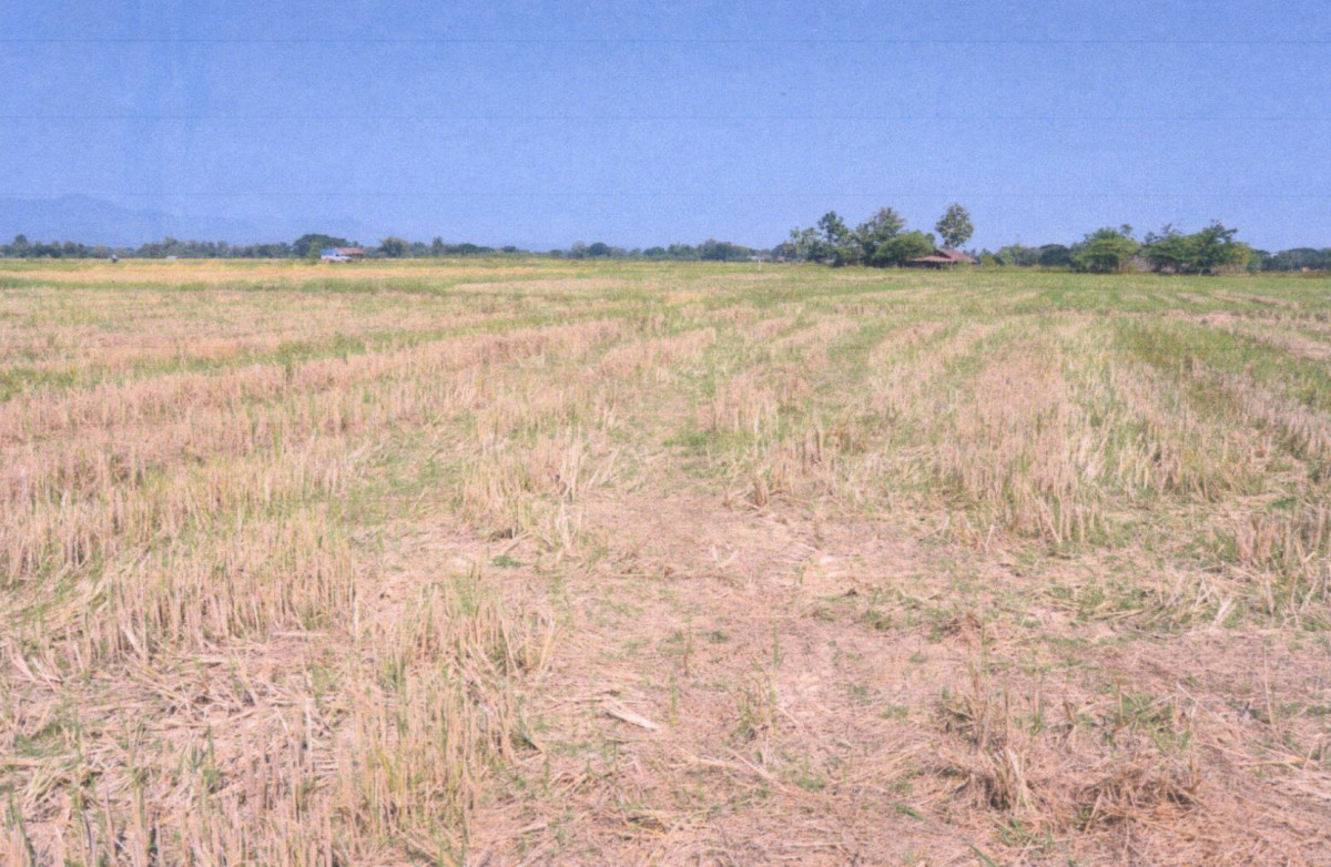 Residential land/lot Phrae Mueang Phrae Thung Hong 239250