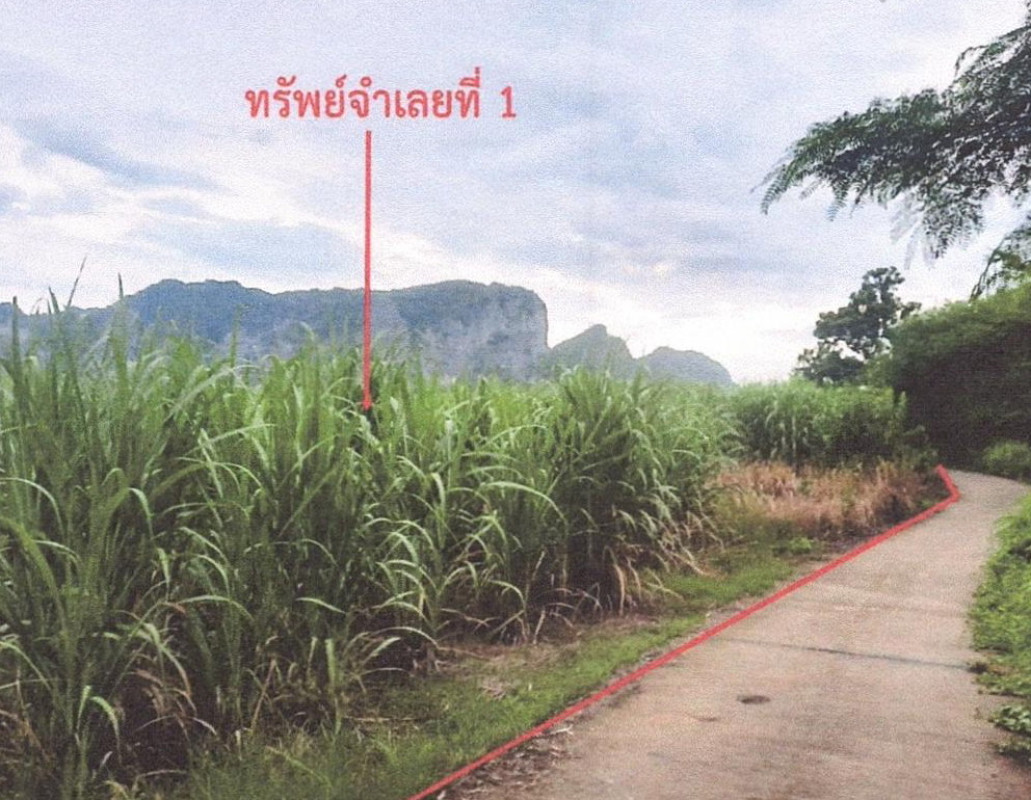 ที่ดินเปล่า ขอนแก่น ภูผาม่าน ภูผาม่าน 357680