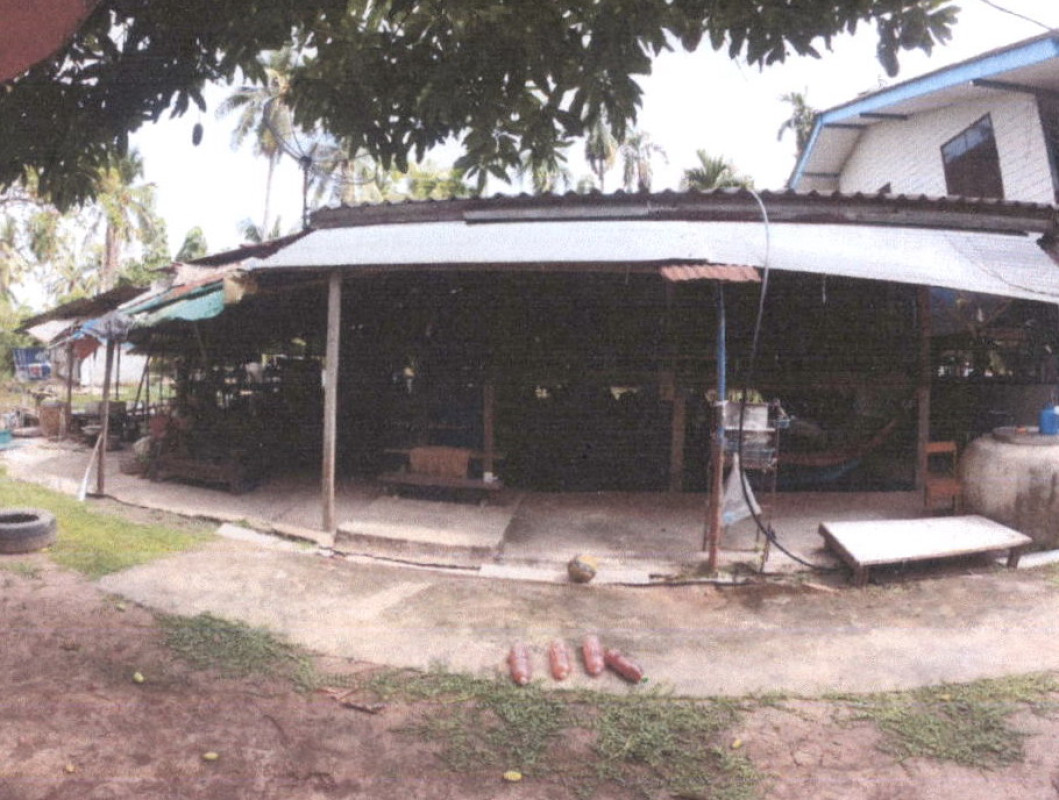 บ้านเดี่ยว นครปฐม สามพราน ทรงคนอง 717280