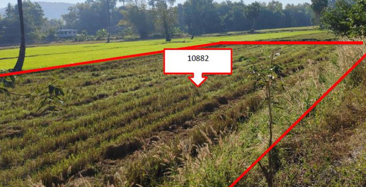 Residential land/lot Phitsanulok Wat Bot Ban Yang 188250