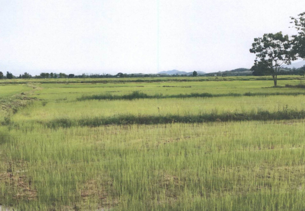 Residential land/lot Chiang Rai Chiang Khong Huai So 993500