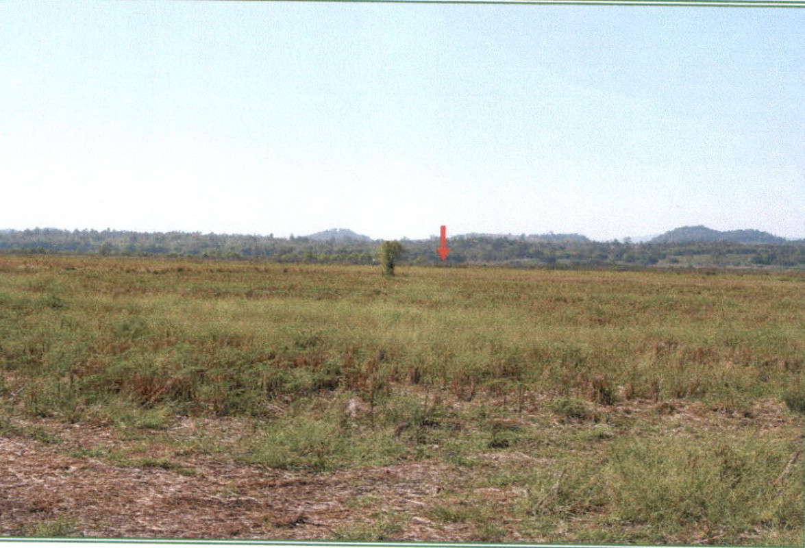 Residential land/lot Chiang Rai Mueang Chiang Rai Doi Lan 50600
