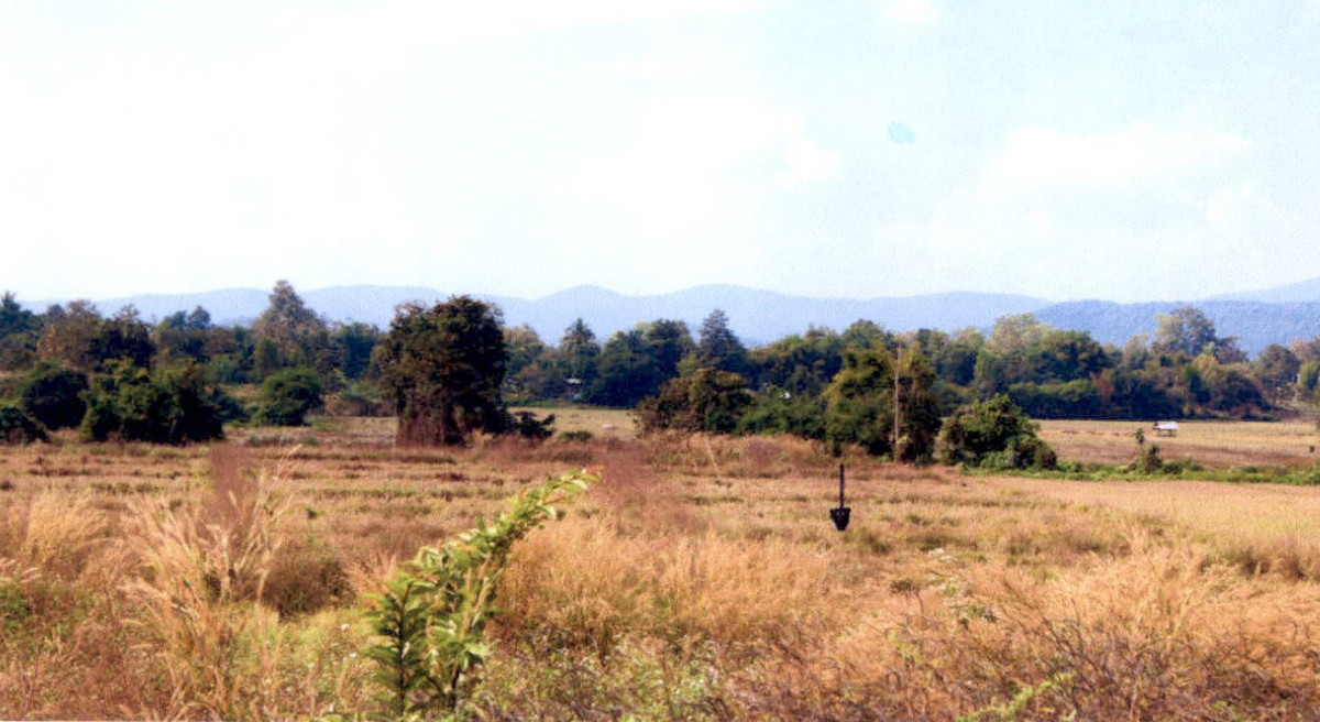 Residential land/lot Chiang Rai Mueang Chiang Rai Doi Lan 190500