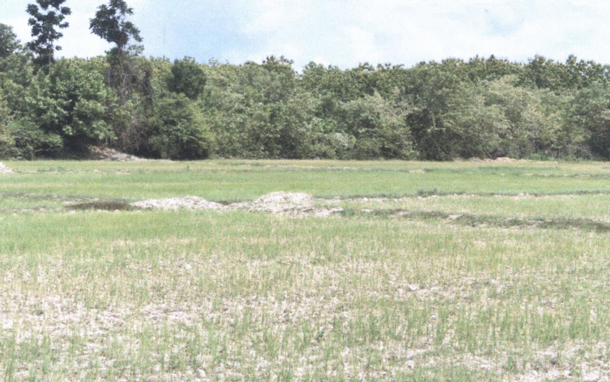 ที่ดินเปล่า แพร่ เมืองแพร่ ร่องฟอง 42000