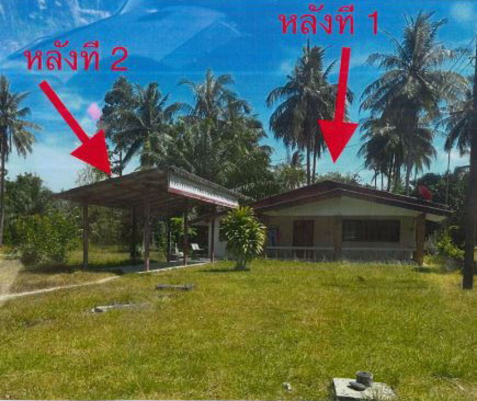 บ้านเดี่ยว นครศรีธรรมราช เมืองนครศรีธรรมราช ปากพูน 945425