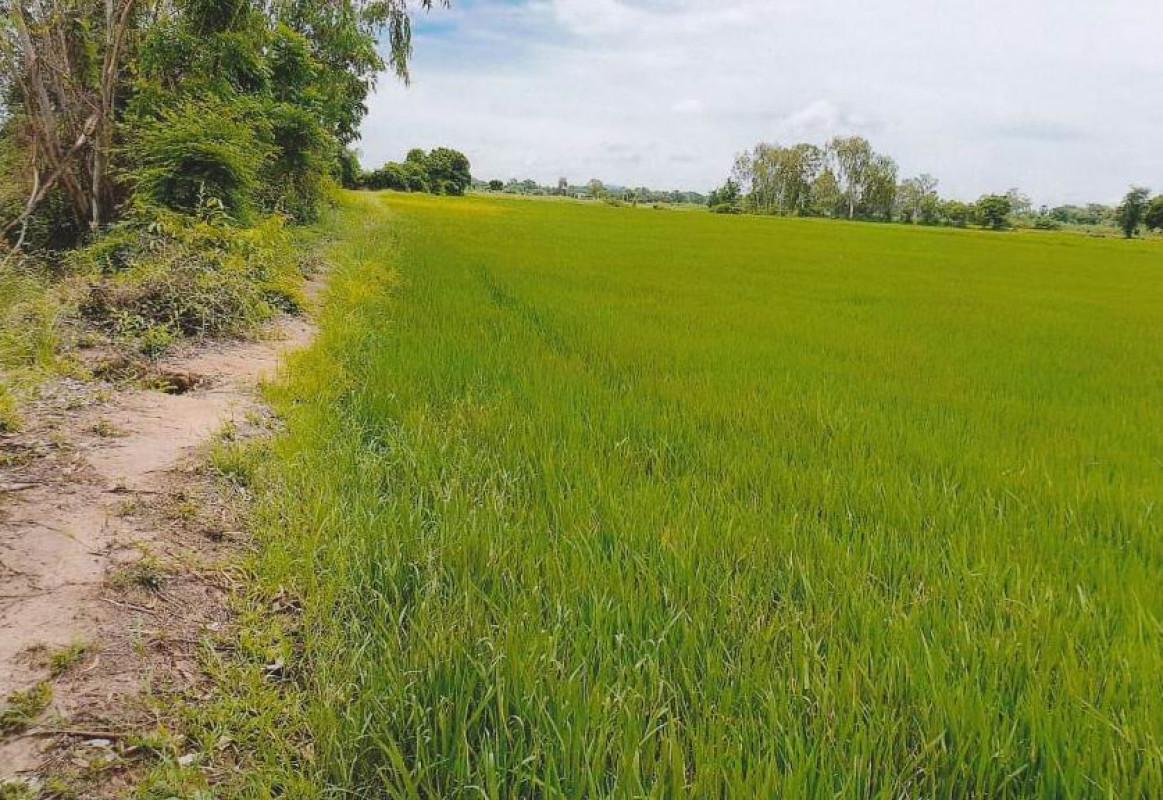 ที่ดินเปล่า อุทัยธานี เมืองอุทัยธานี ดอนขวาง 1146400