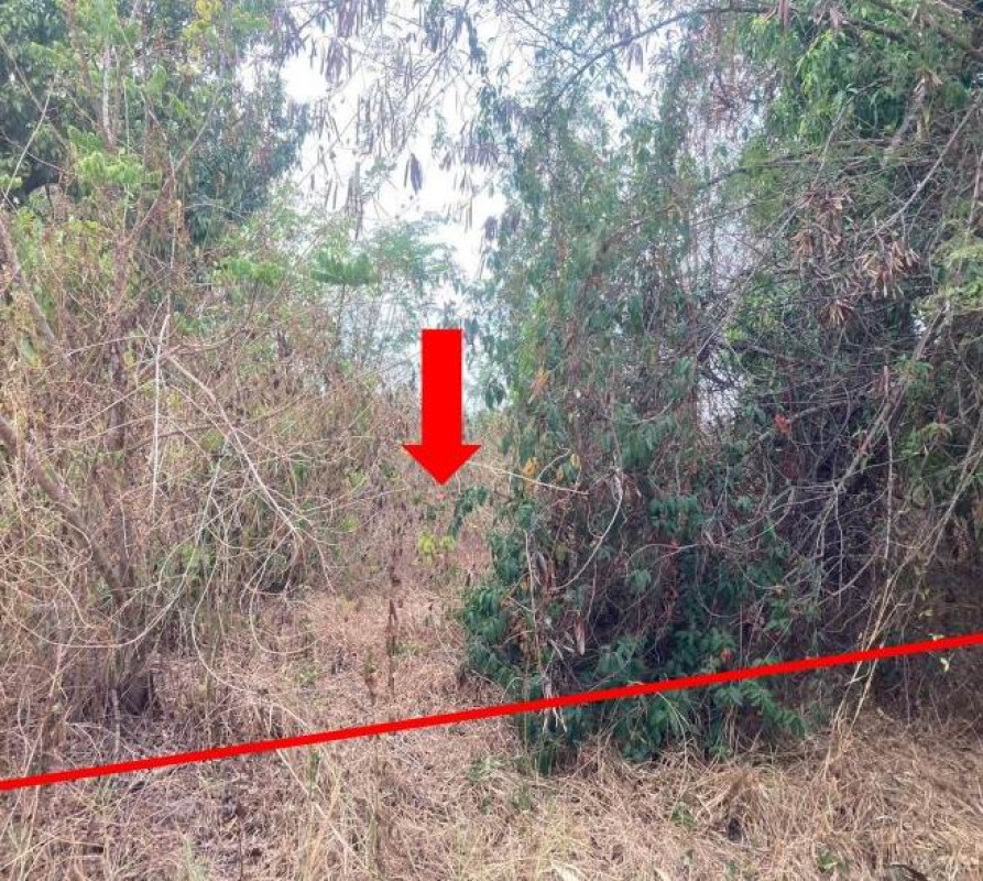 ที่ดินเปล่า อุบลราชธานี เดชอุดม นาเจริญ 113160
