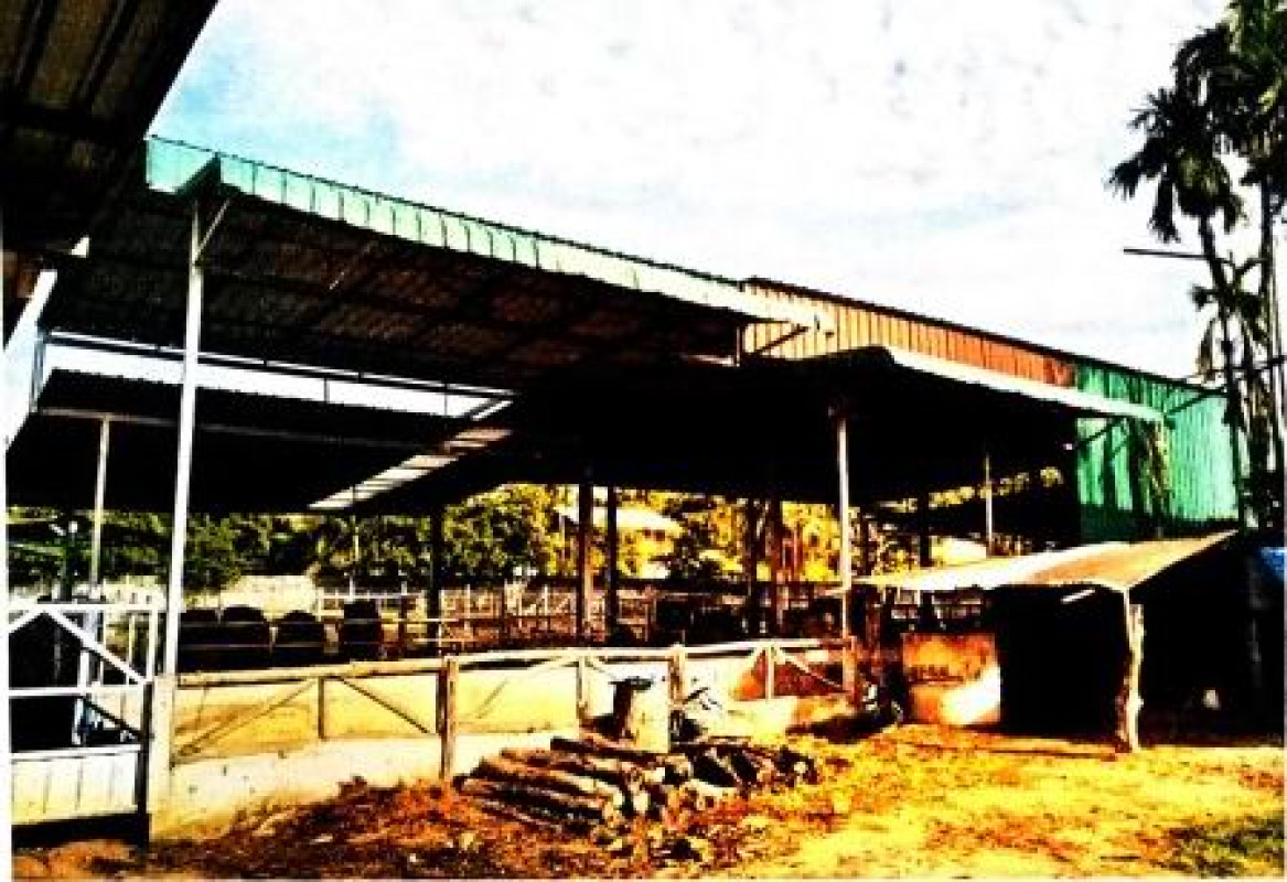 บ้านเดี่ยว อุบลราชธานี นาจะหลวย โนนสวรรค์ 184495